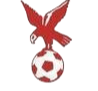 https://img.jinshituozhan.com/img/football/team/4802d26df935b78bb2fcdbbff36e8864.png